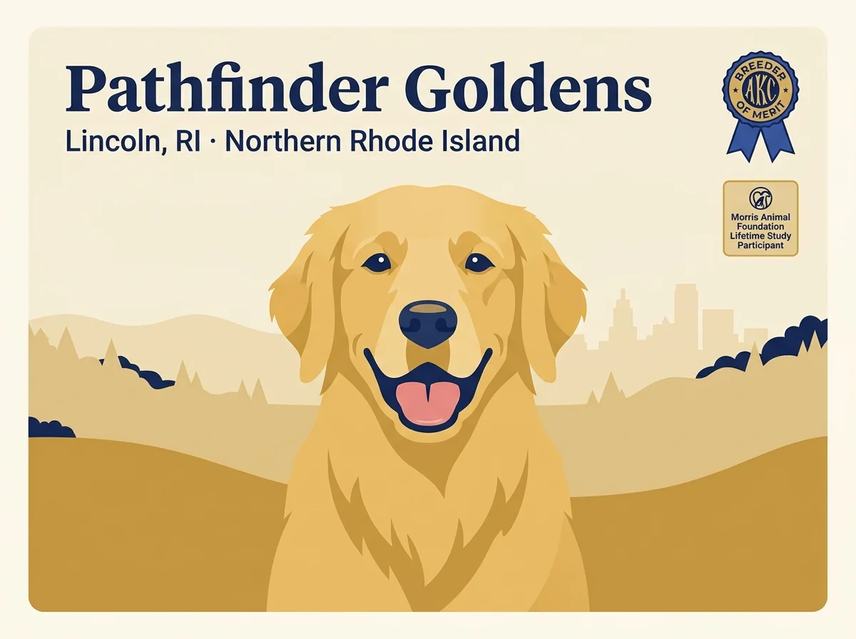 Pathfinder Goldens editorial profile card showing a stylized golden retriever portrait with a Northern Rhode Island silhouette and AKC Breeder of Merit + Morris Animal Foundation verification badge.