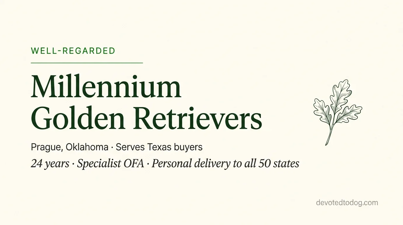 Millennium Golden Retrievers editorial profile card showing tier rating, location, and key credentials