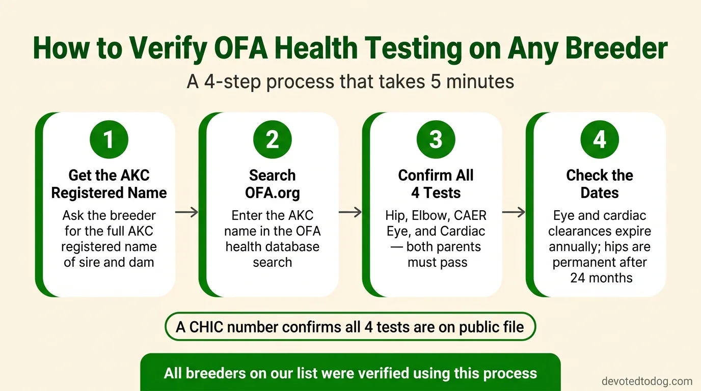 4-step infographic showing how to verify OFA health testing: get AKC registered name, search OFA.org, confirm 4 tests, check dates
