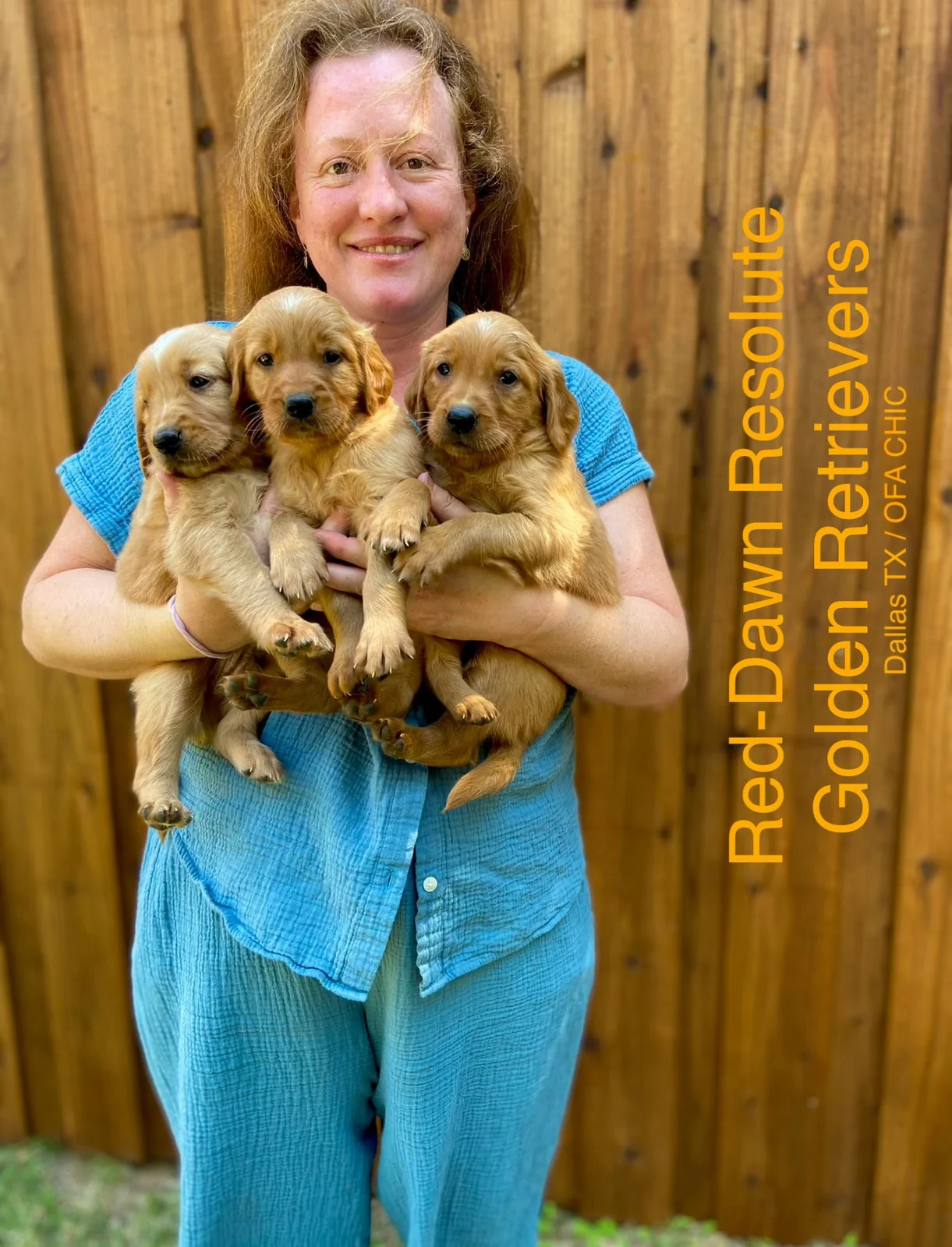 Three red golden retriever puppies being held by their breeder Alicia at Red-Dawn Resolute Golden Retrievers in McKinney Texas, showing OFA CHIC certification