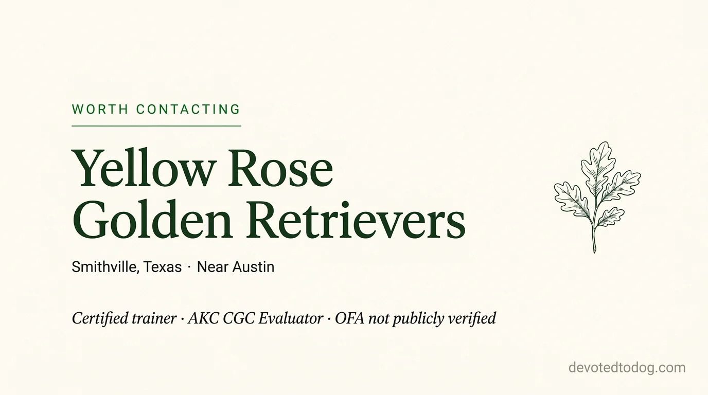 Yellow Rose Golden Retrievers editorial profile card showing tier rating, location, and key credentials