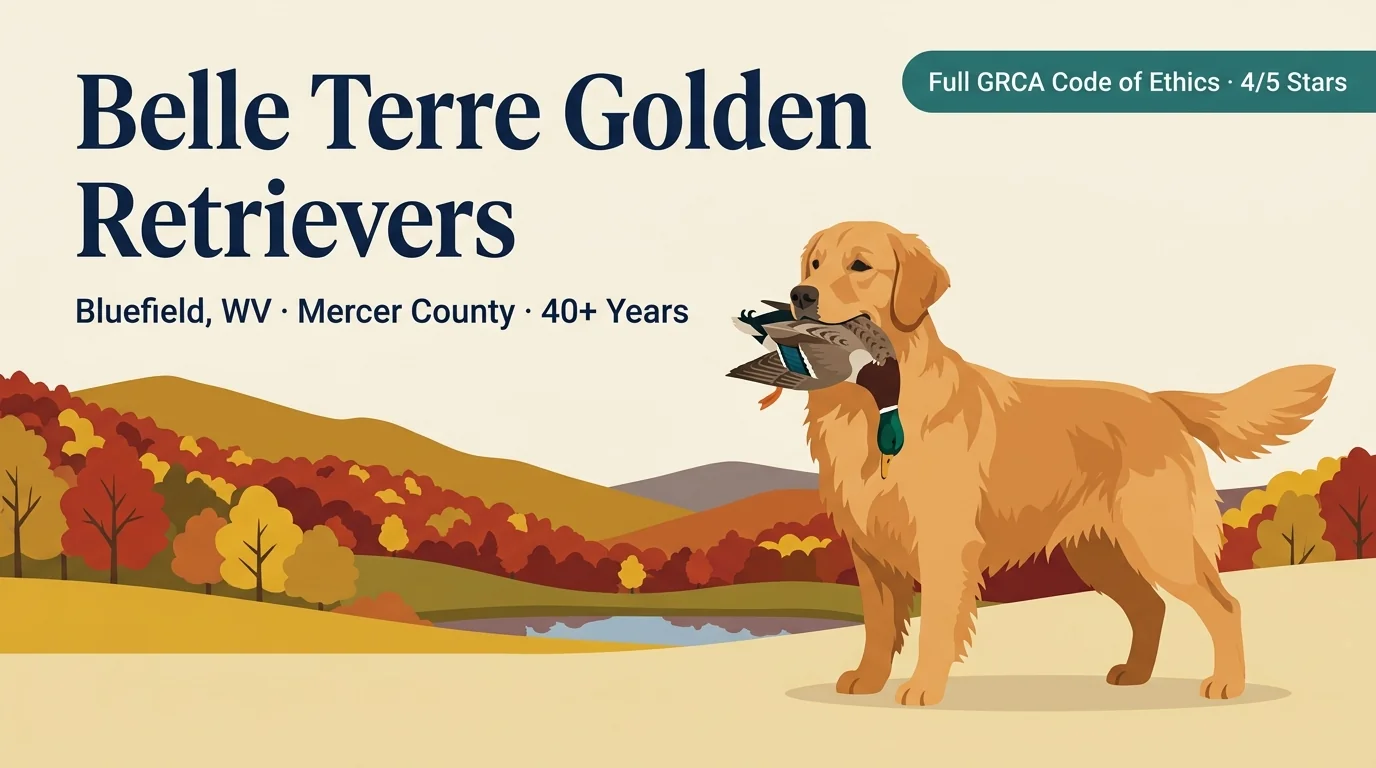 Belle Terre Golden Retrievers editorial profile card showing tier rating, Bluefield West Virginia location, full GRCA Code of Ethics clearances, and multi-purpose preservation breeder status