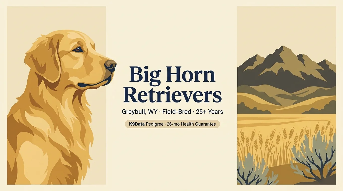 Big Horn Retrievers editorial profile card showing tier rating, location, and key credentials