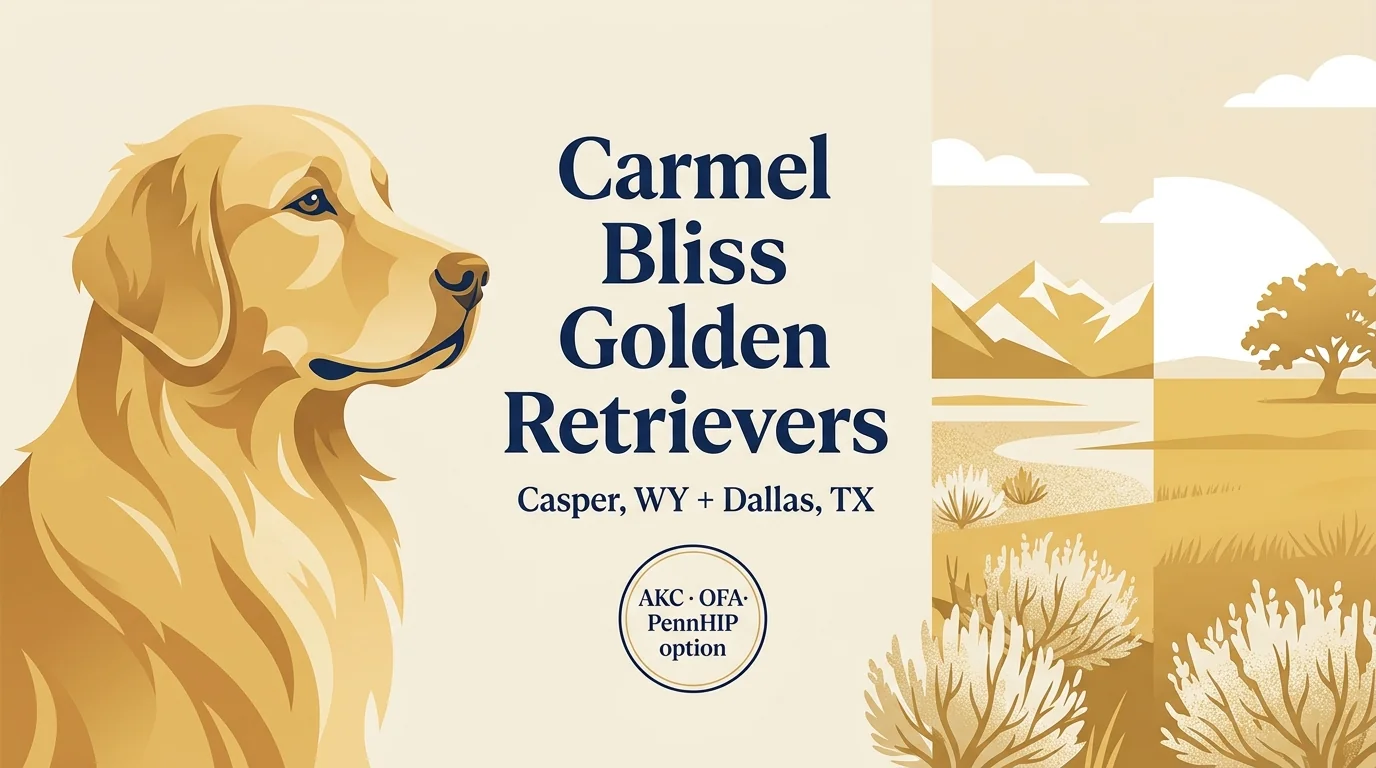Carmel Bliss Golden Retrievers editorial profile card showing tier rating, location, and key credentials