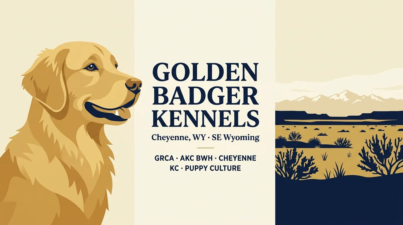 Golden Badger Kennels editorial profile card showing tier rating, location, and key credentials