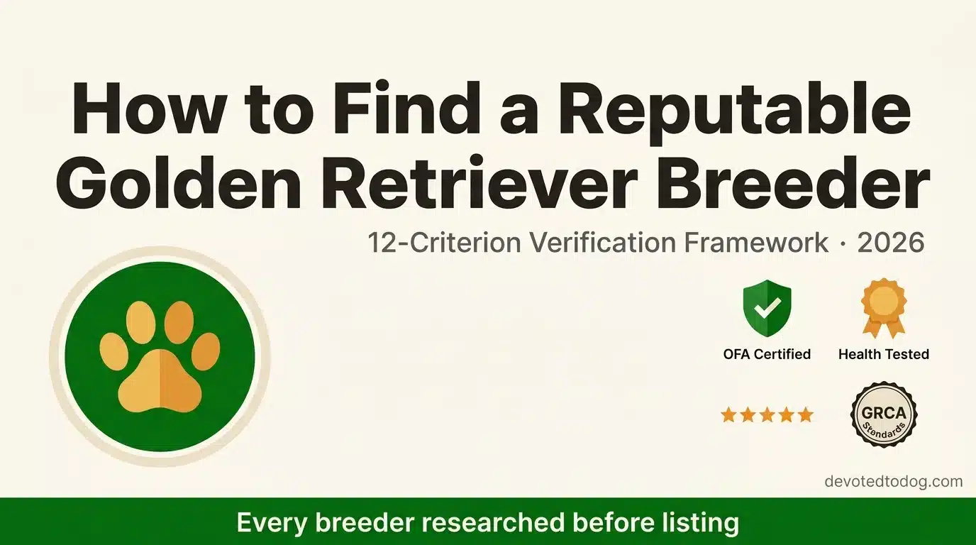 Editorial header — How to Find a Reputable Golden Retriever Breeder: 12-Criterion Verification Framework 2026 with OFA Certified, Health Tested, and GRCA Standards badges