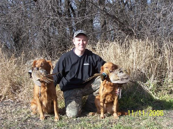 Field-bred Golden Retriever from Prairie Fire Goldens, Raymond, Minnesota