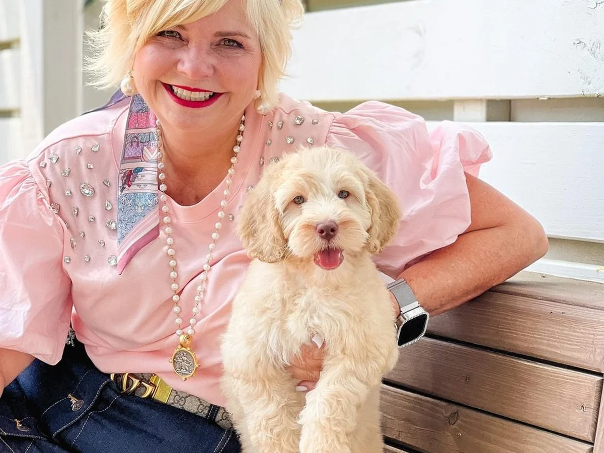 Teddy Bear Goldendoodle from Smeraglia's in Robertsdale, AL