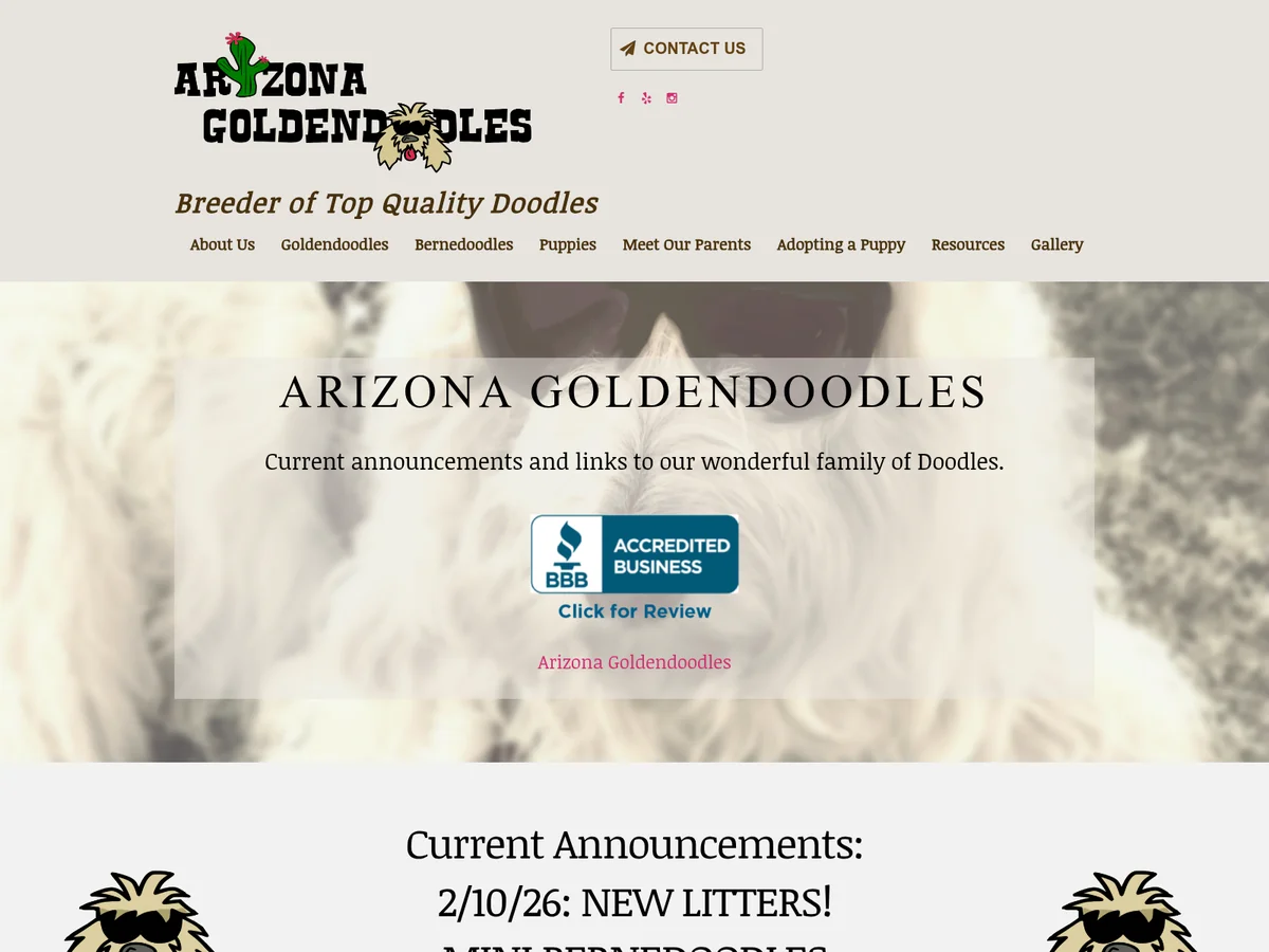Mini Goldendoodle from Arizona Goldendoodles in Peoria, AZ
