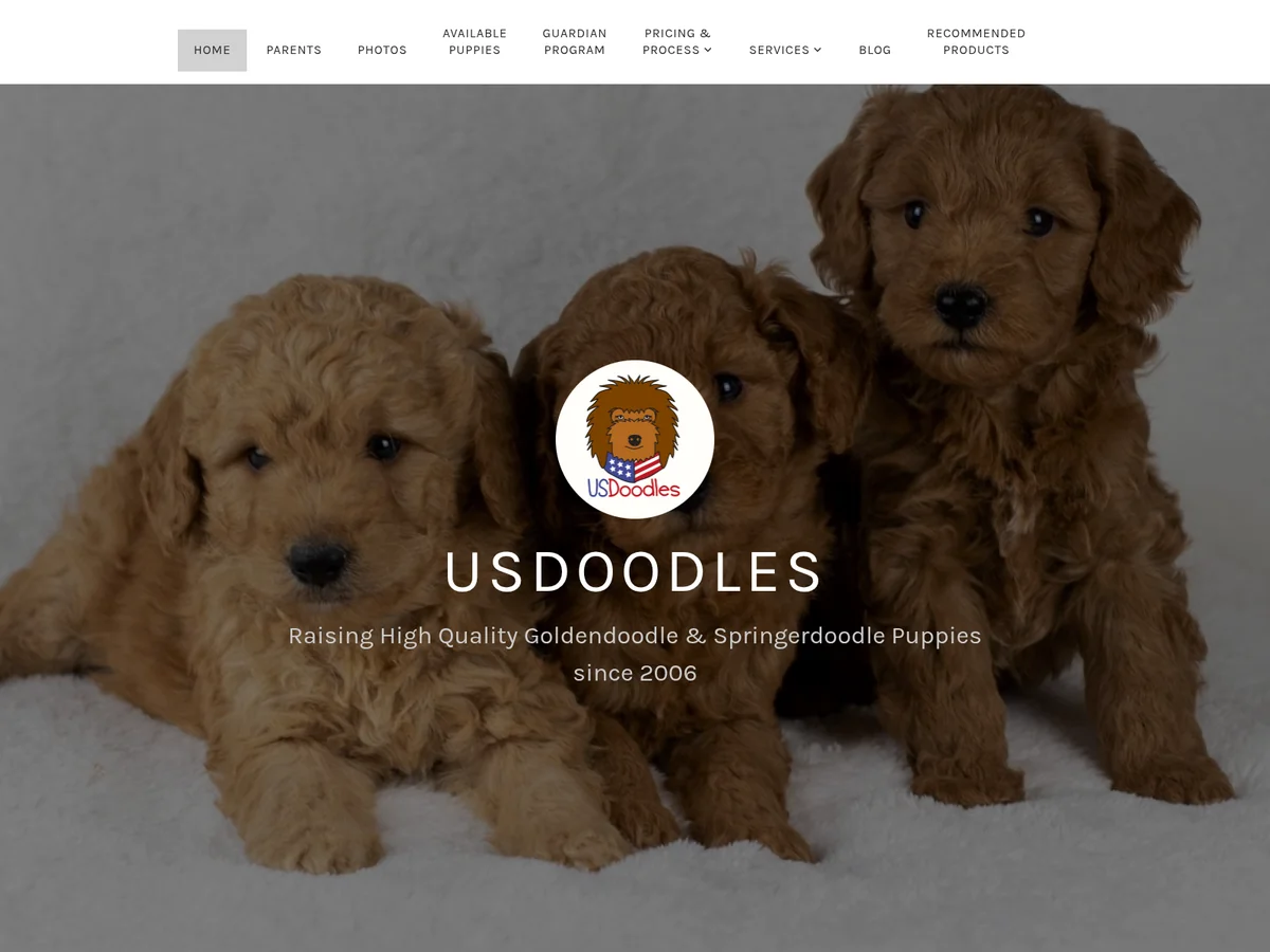 F1 Goldendoodle from USDoodles in Central Phoenix, AZ