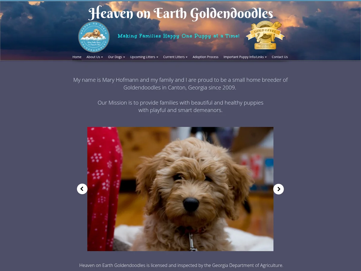 Goldendoodle from Heaven on Earth Goldendoodles in Canton, GA