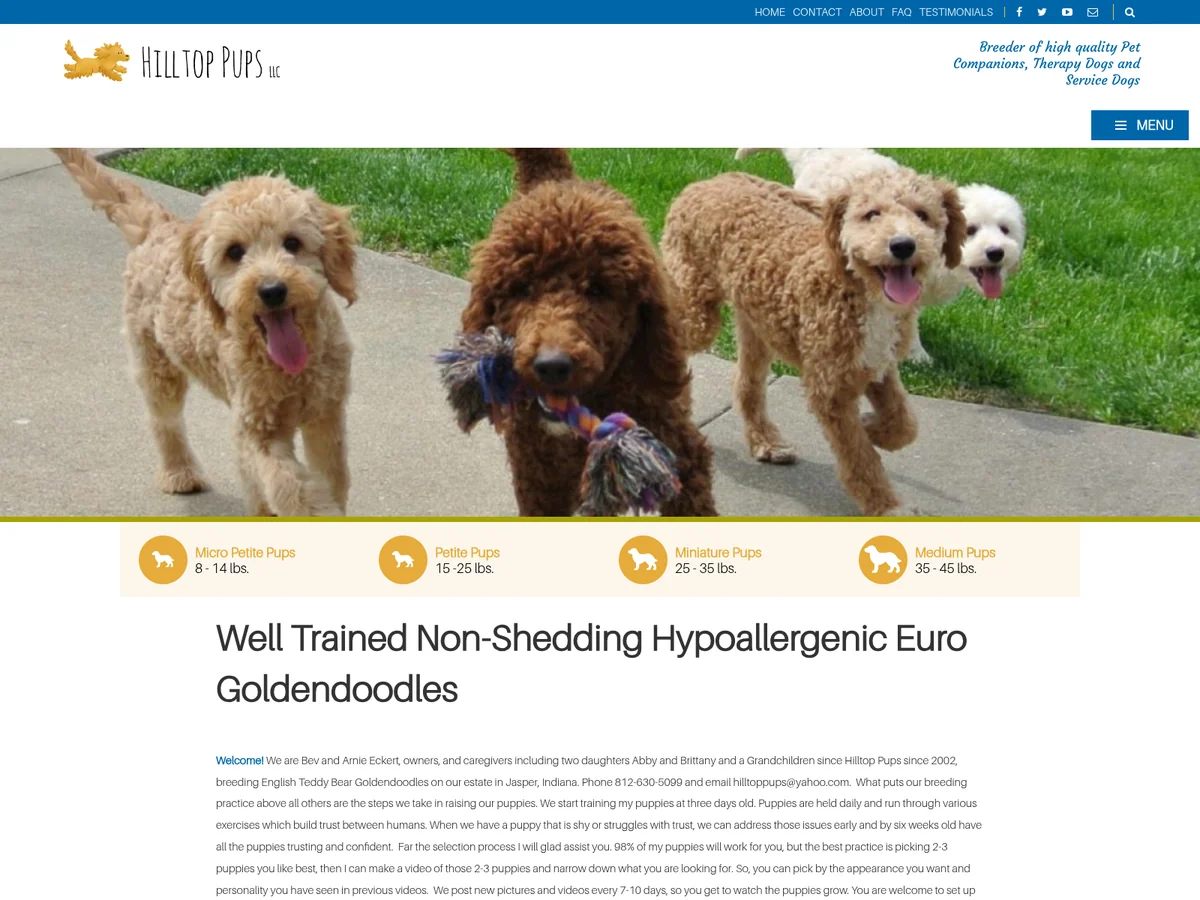 Goldendoodle from Hilltop Pups LLC in Jasper, IN