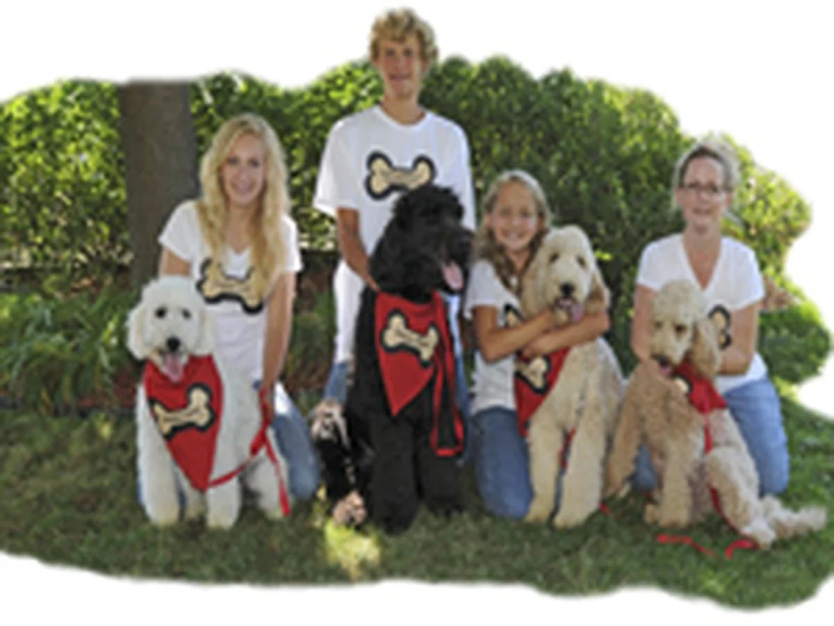 Goldendoodle from Bear Lake GoldenDoodles in Muskegon, MI