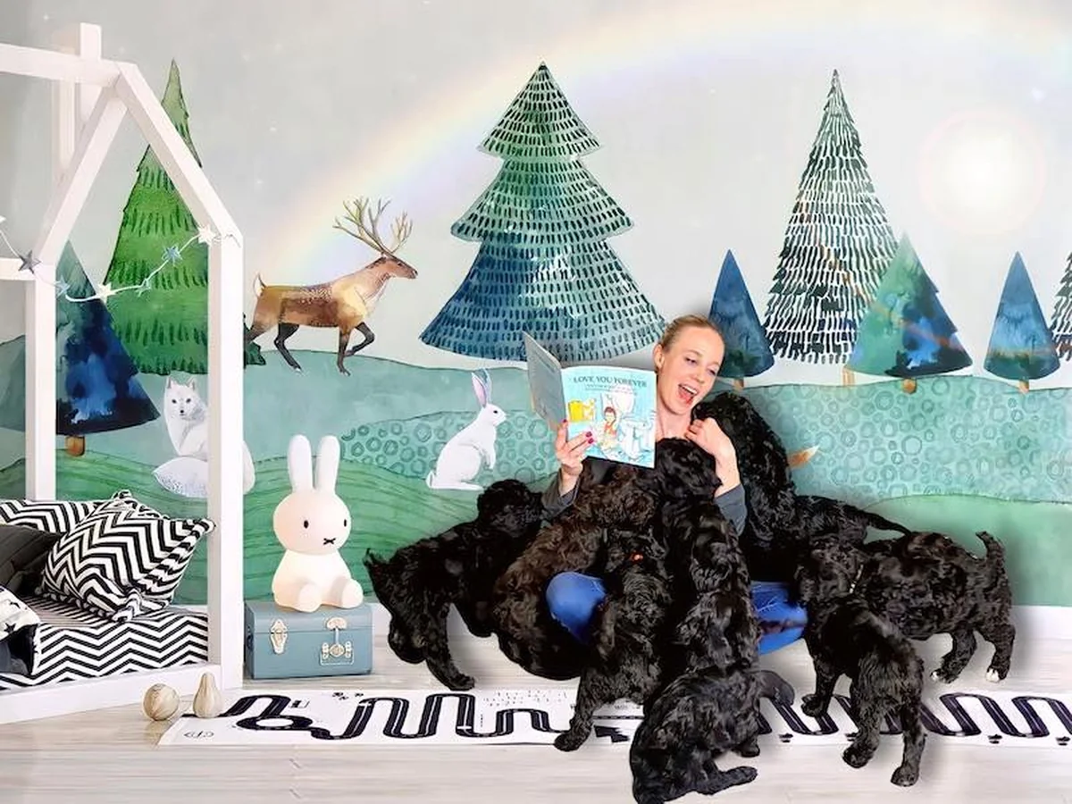 Goldendoodle mother with puppies from Petoskey Goldendoodles in Petoskey, MI