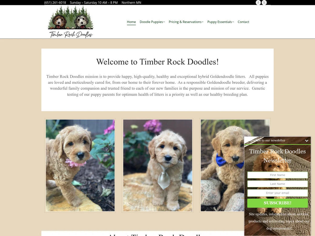 Goldendoodle from Timber Rock Doodles in Bigfork, MN