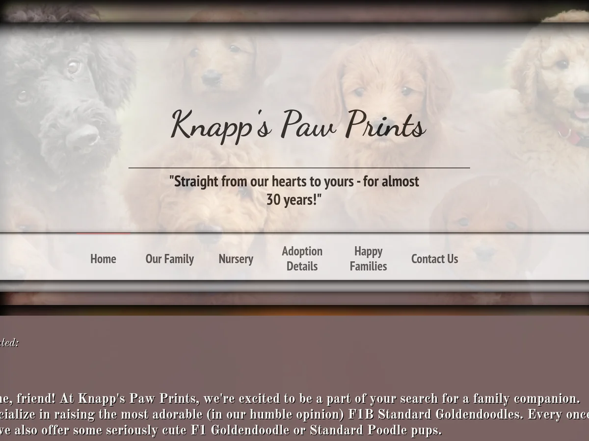 Goldendoodle from Knapp