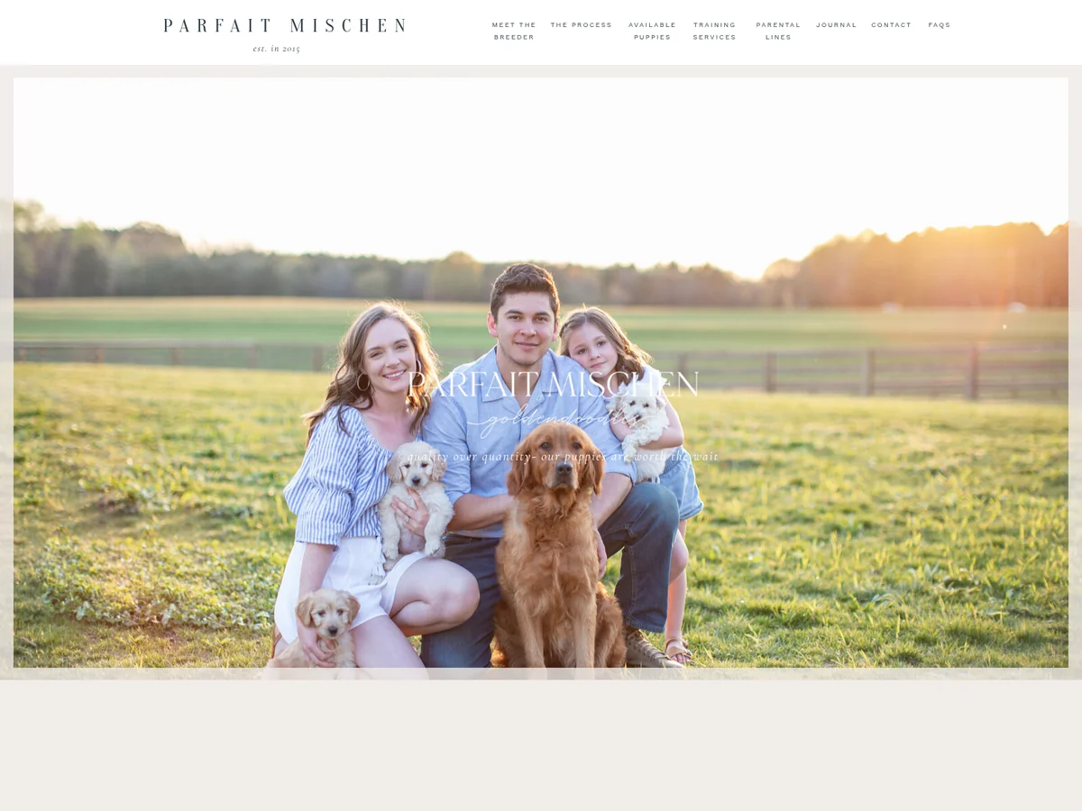Goldendoodle from Parfait Mischen Goldendoodles in Statesville, NC