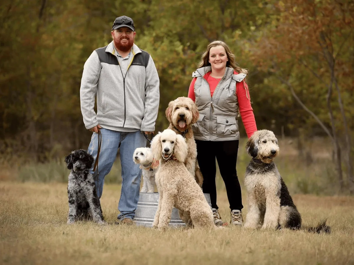 Goldendoodle from Blackwater Doodles in Amarillo, TX