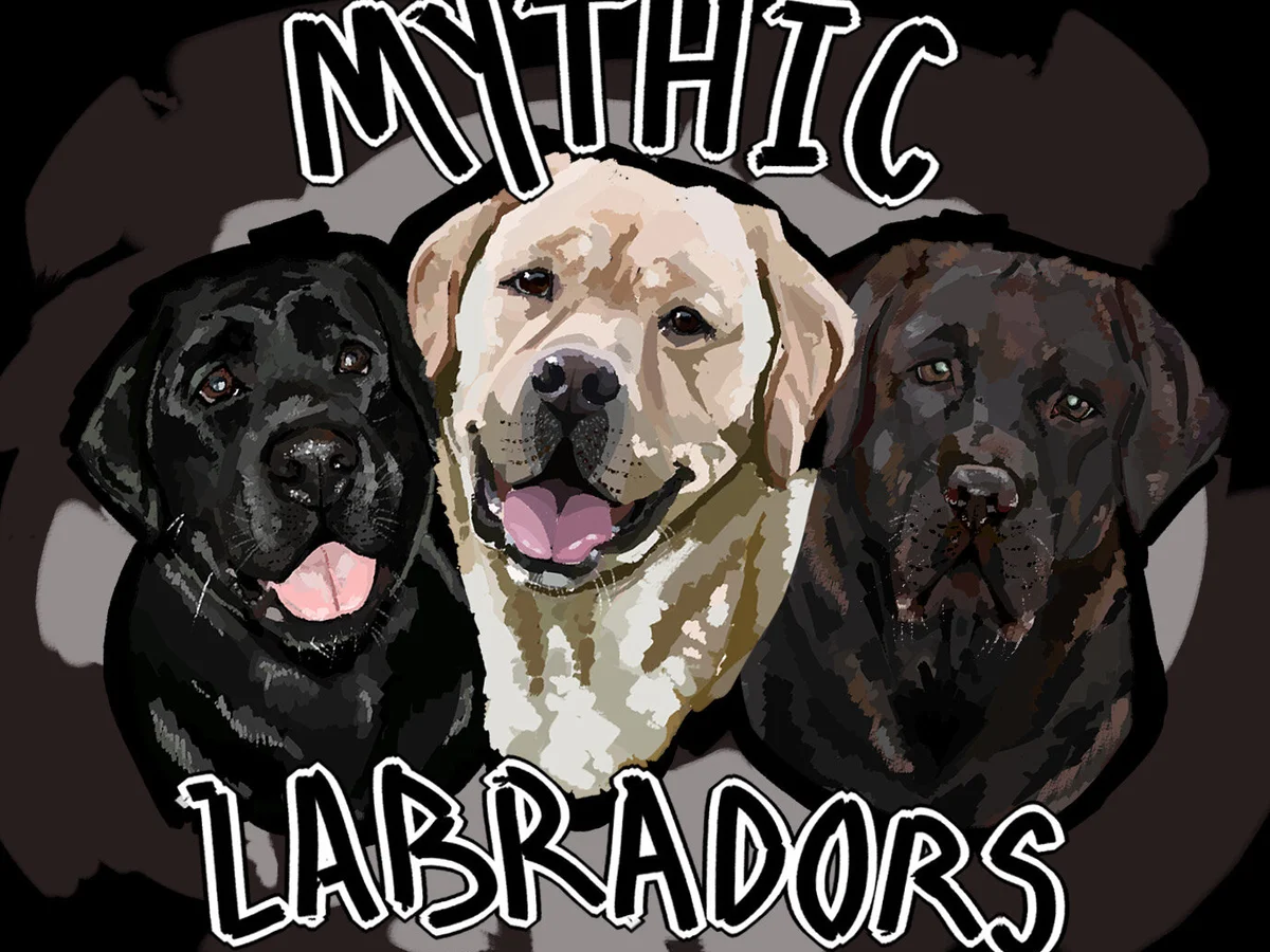 English-style Labrador retriever from Mythic Labradors, Brevard County, Florida