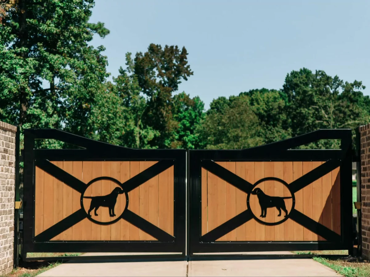 Labrador retriever from State of Grace Labradors, Roswell Georgia