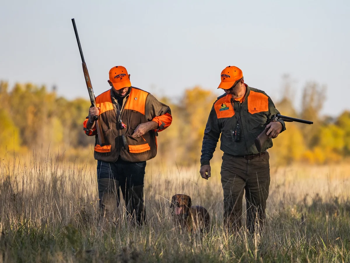 Field Labrador retriever from Burlingame Labradors, Northern Illinois