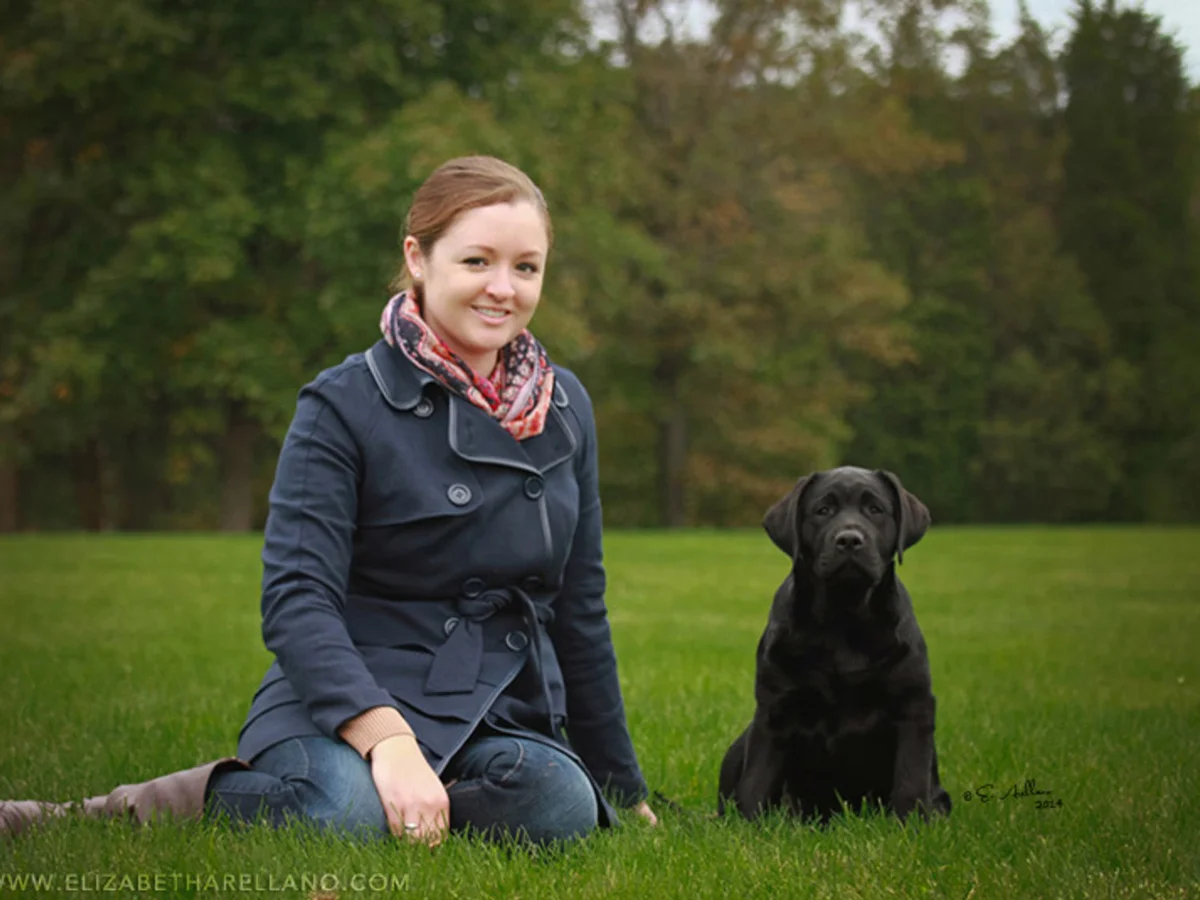 English Labrador retriever from Russford Labradors, Bath, New York Finger Lakes