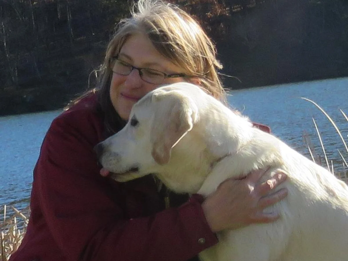 Labrador retriever from CiaoBella Retrievers, Troutville Virginia