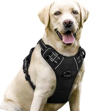 rabbitgoo Dog Harness No Pull with 2 Leash Clips, adjustable for medium to large dogs