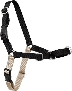 PetSafe Easy Walk No-Pull Dog Harness with martingale loop