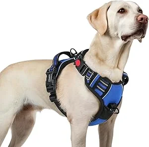 rabbitgoo Dog Harness for Large dogs with 3 buckles for easy fitting