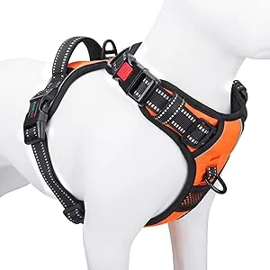 PHOEPET Reflective Dog Harness for night walks with handle