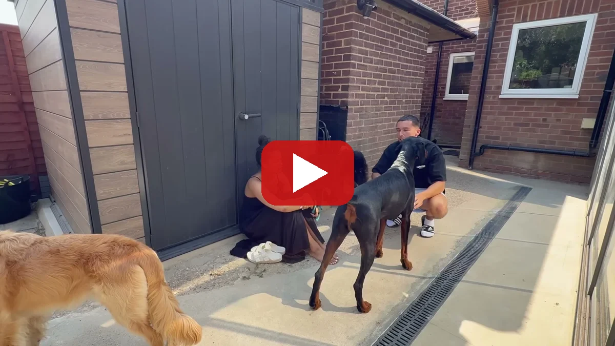 Watch Amara's first day on YouTube - The Golden Kobe Family