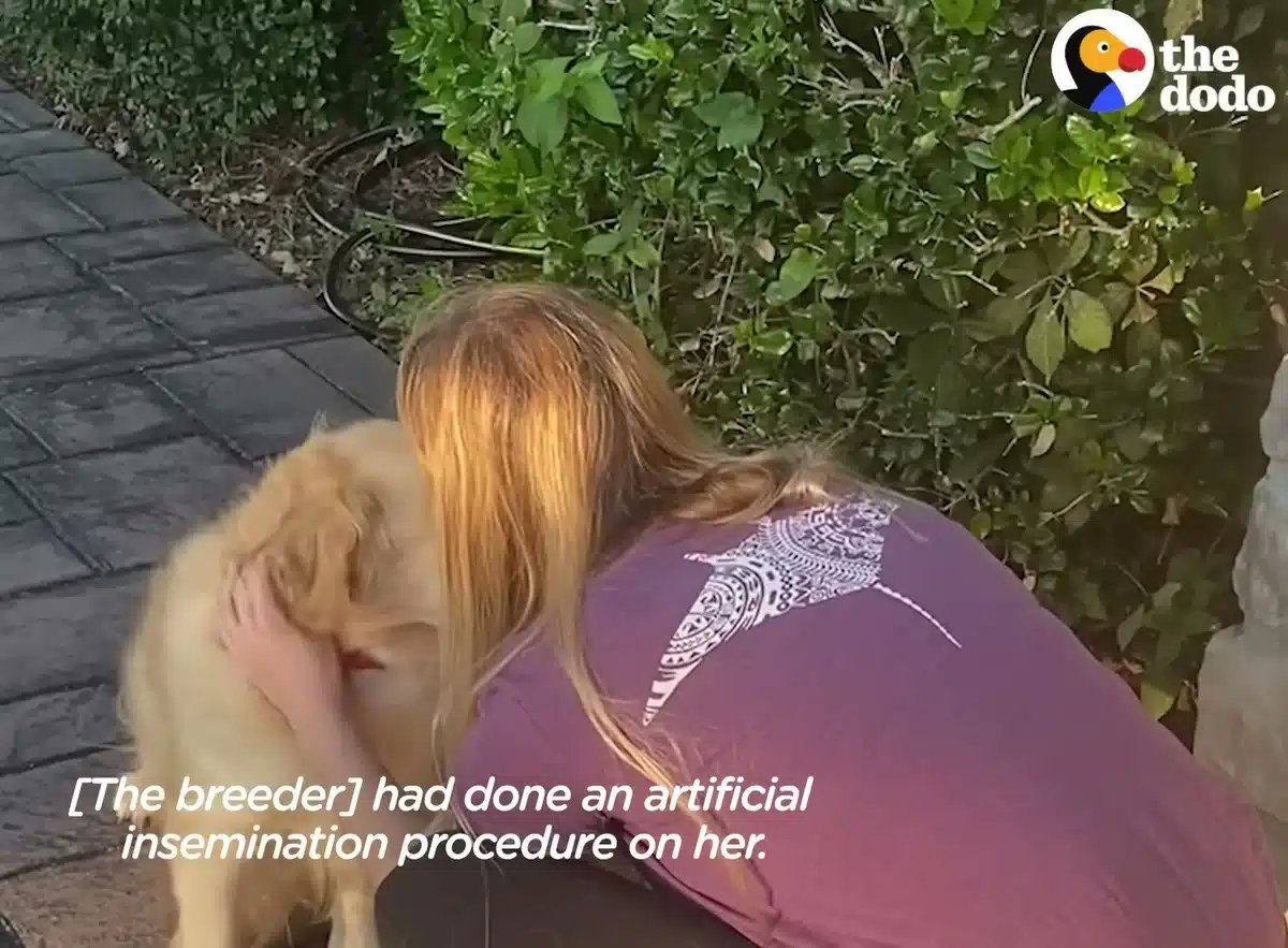 Foster volunteer hugging Eleanor on the day of her rescue