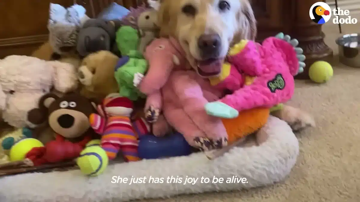Eleanor lying in her bed surrounded by stuffed toys