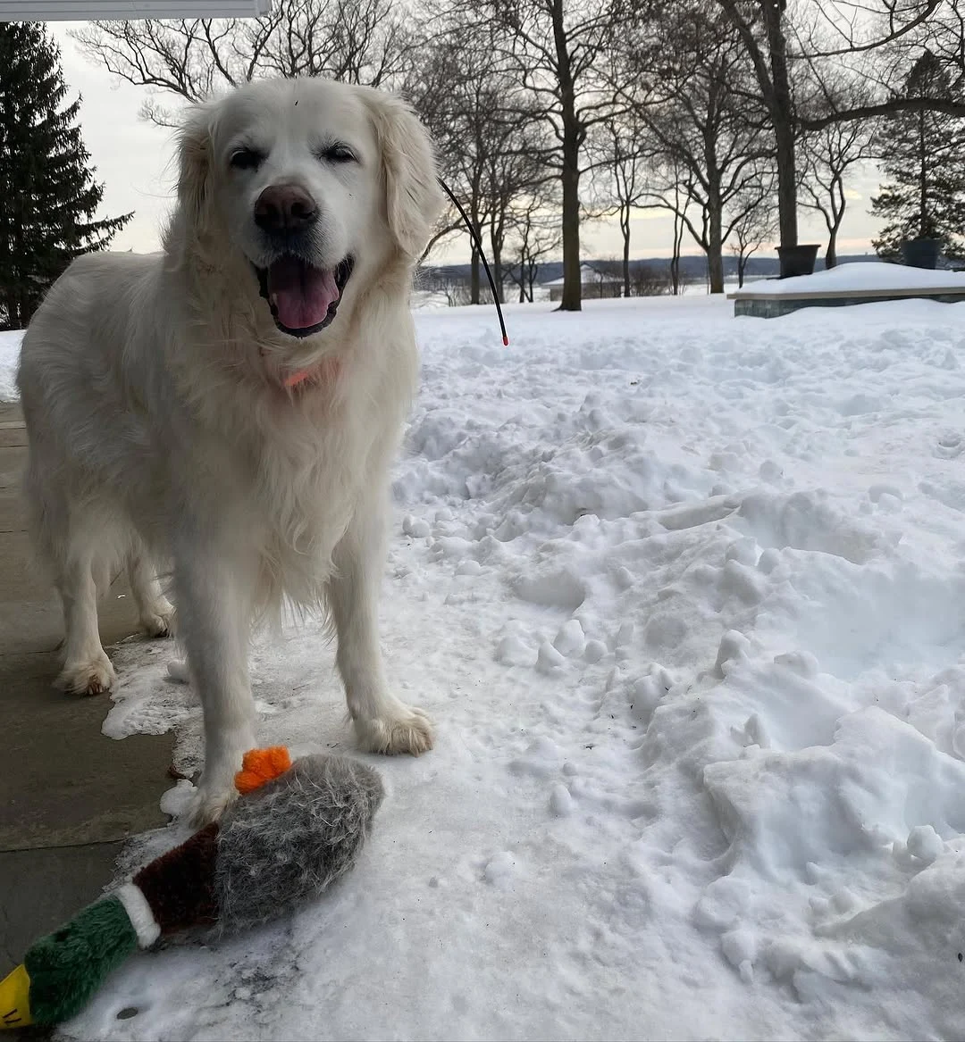Oliver smiling in the snow with his favorite toy