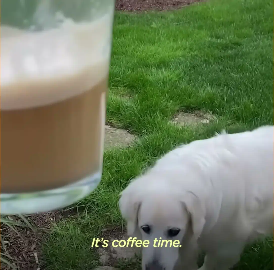 Coffee time - Oliver arriving for his morning ritual