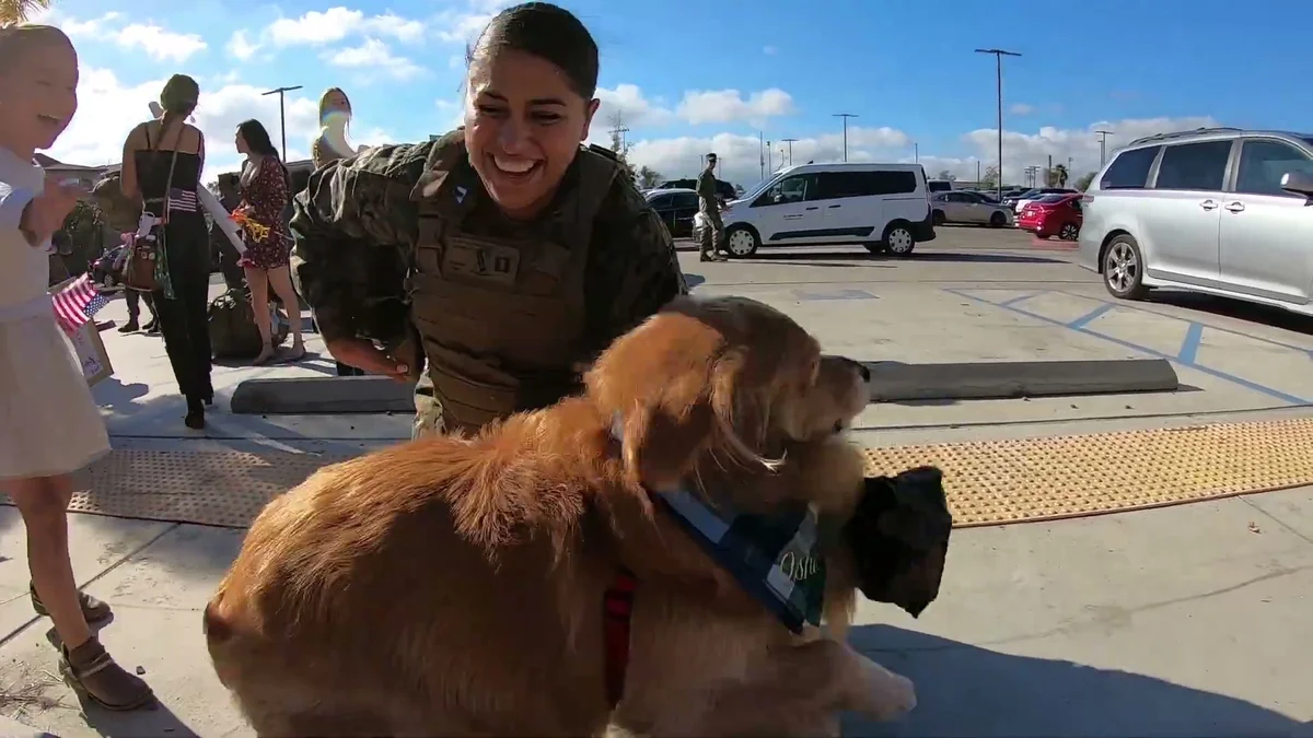 A Marine in camouflage approaching through the parking lot