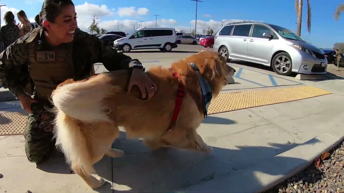 Oshie spotting Nancy and pulling toward her