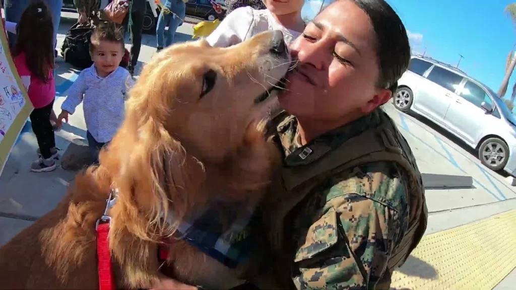Oshie kissing Nancy face during the reunion