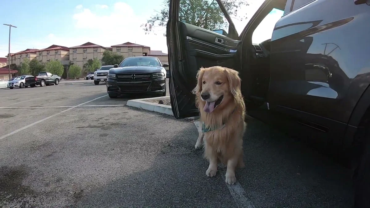 Oshie standing by the truck, ready to go home