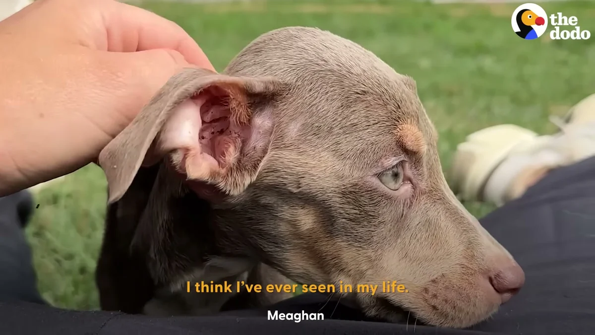 Close-up of Roo's searching eyes as Meaghan gently holds her
