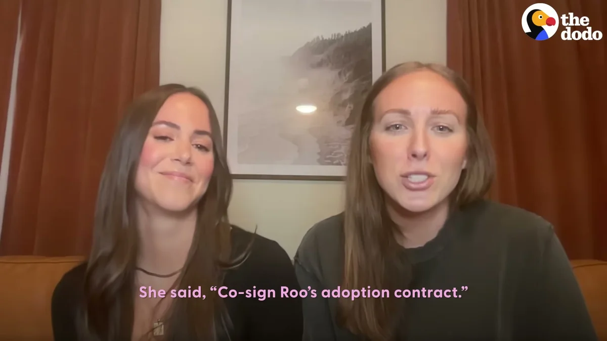 Meaghan and her partner on camera talking about Roo's adoption
