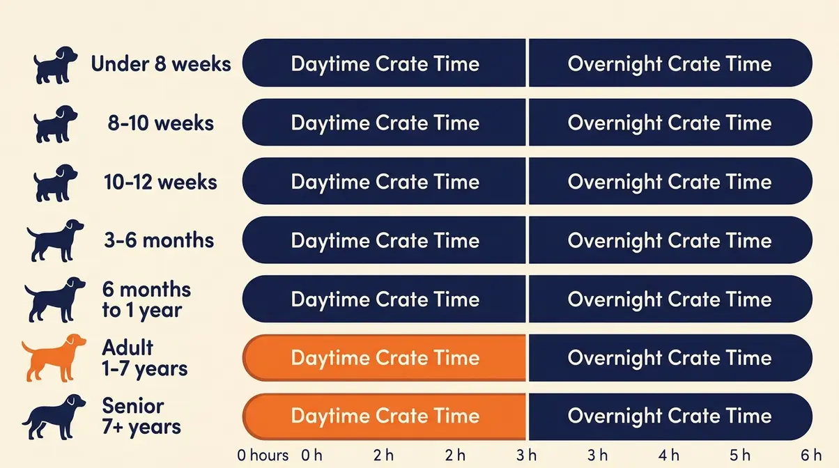 Infographic showing maximum safe crate time for puppies, adult dogs, and senior dogs by age group