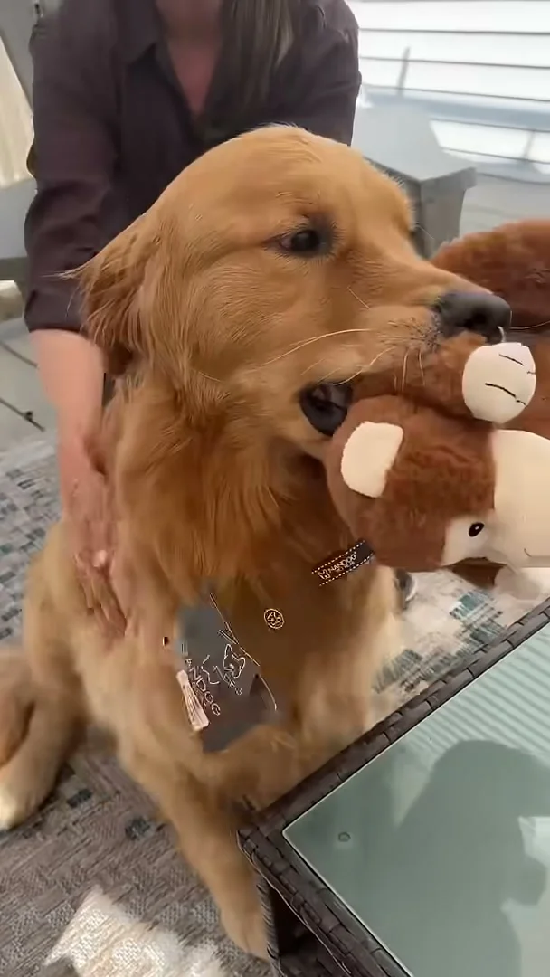 Grandma greeting Wally as he takes his new stuffed toy