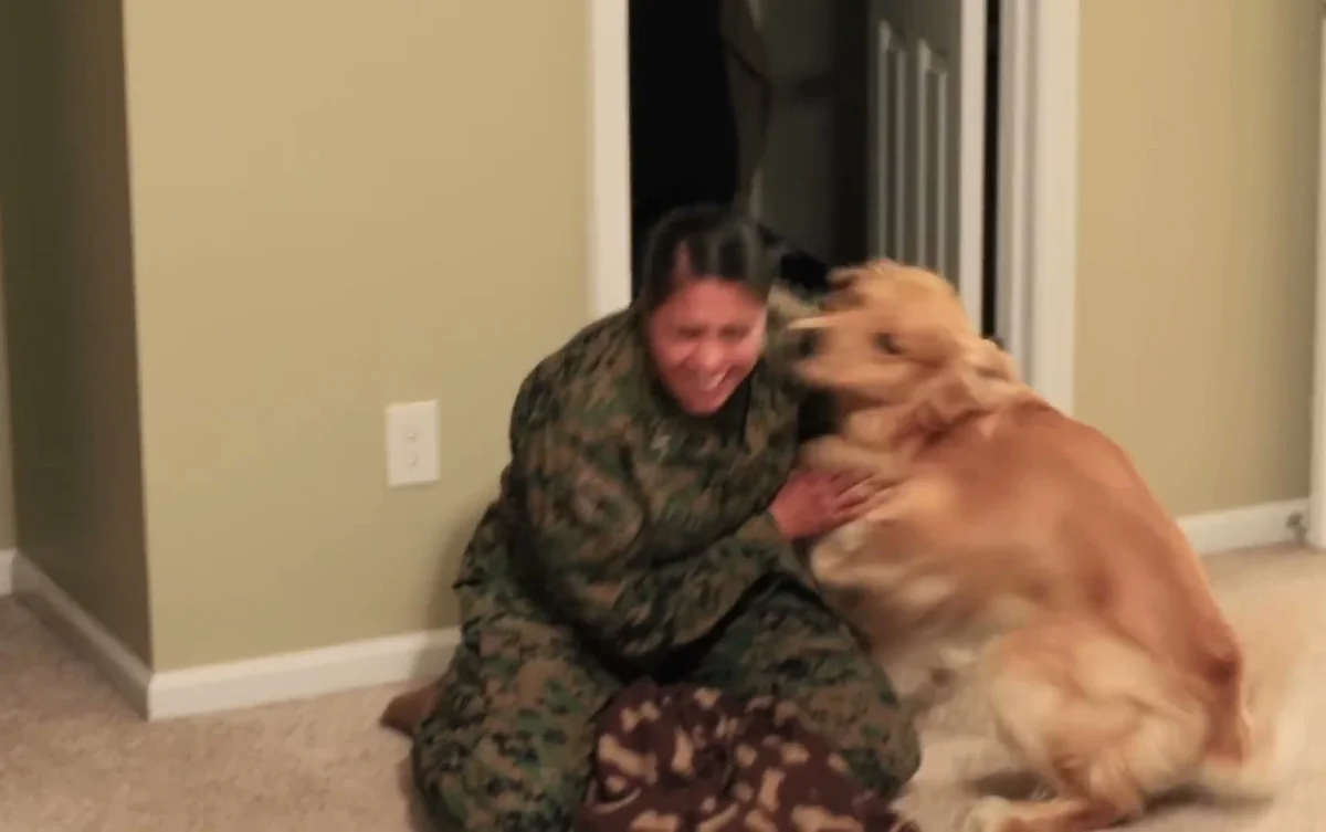 Nancy in Marine Corps uniform sitting on floor as Oshie presses his face against hers, both overjoyed