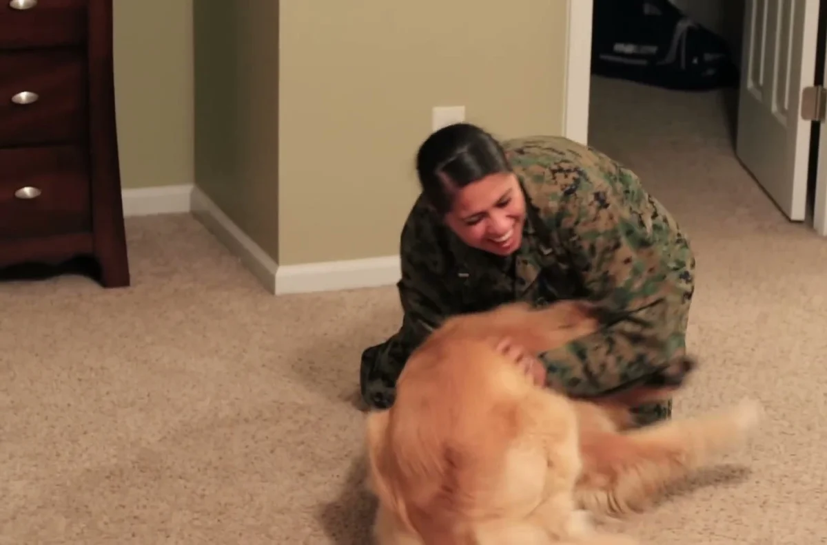 Nancy laughing as Oshie rolls on his back for belly rubs during their reunion