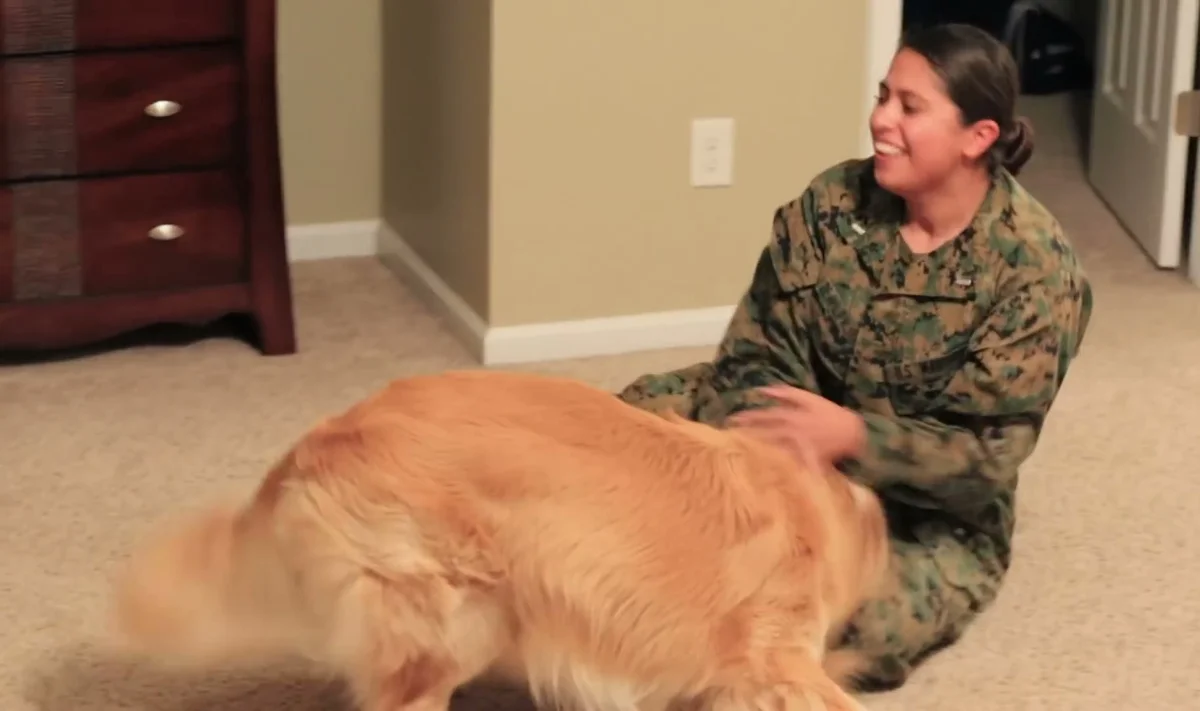 Nancy and Oshie settled calmly together on the floor after their joyful reunion