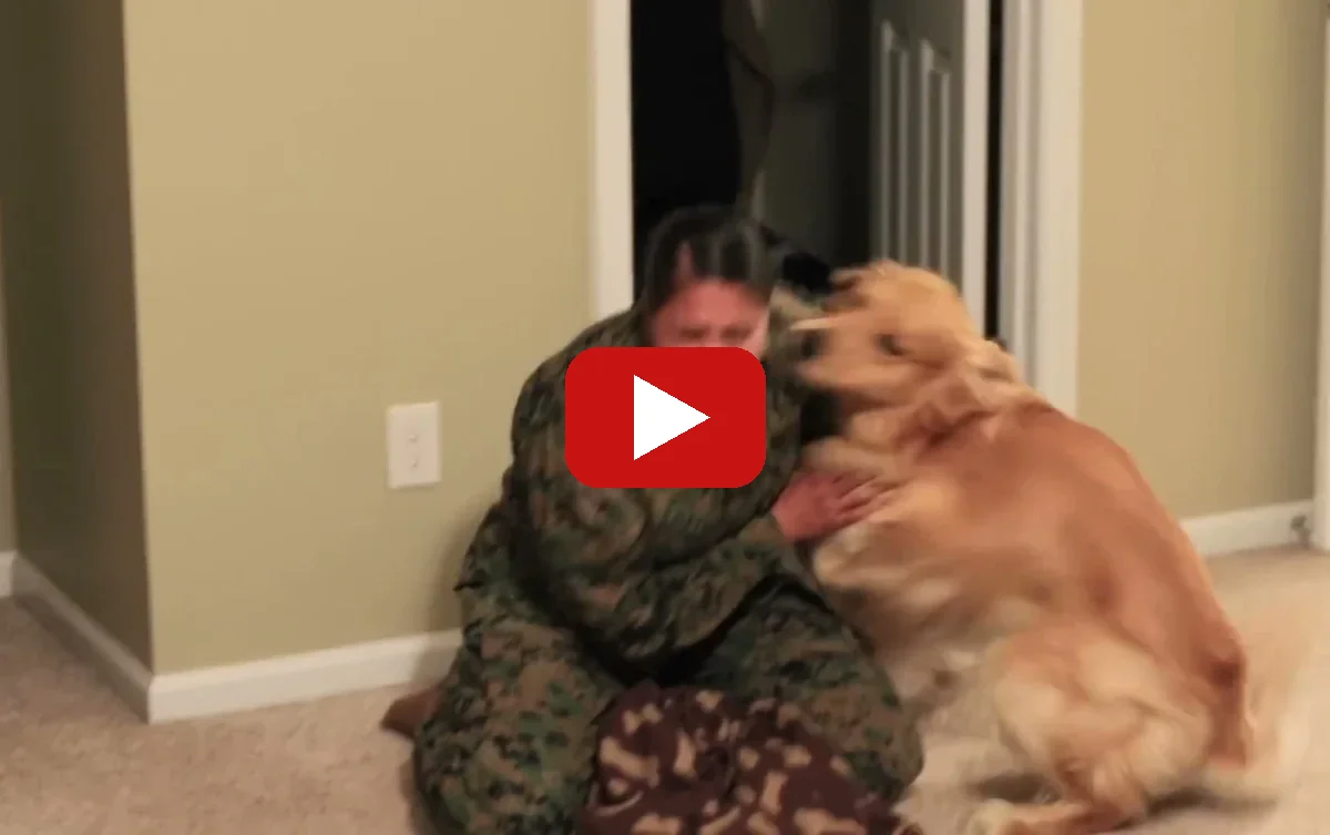 Watch Oshie greet his Marine mom on YouTube - Oshie