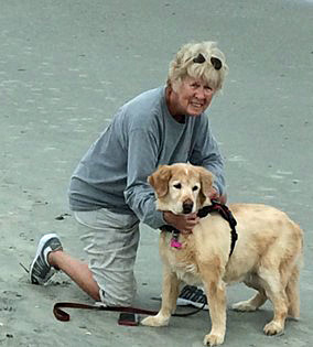 Wendy the golden retriever at the beach in South Carolina with her forever family — rescued by GRRAND from a hoarding situation