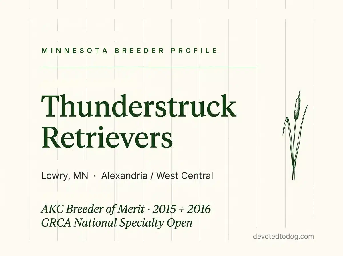 Thunderstruck Retrievers editorial profile card, Lowry, Minnesota, with a cattail sketch